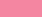 Pink Zinnia