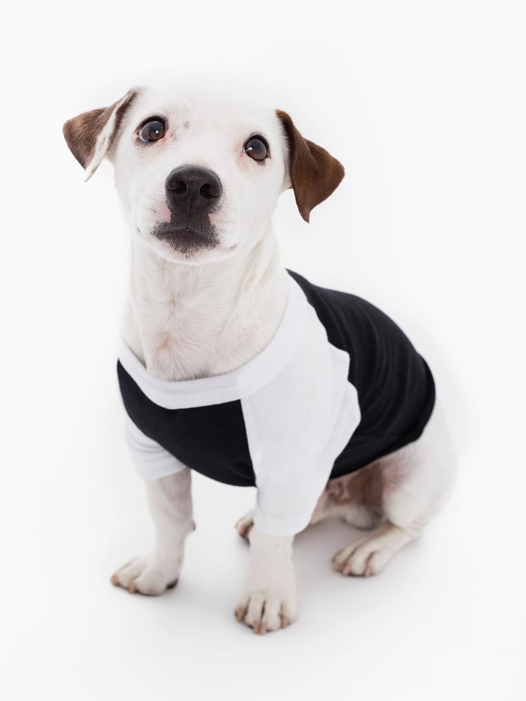 http://s7d9.scene7.com/is/image/AmericanApparel/bb953w_black_white?defaultImage=/notavail&$ProductGrid2.5_4$