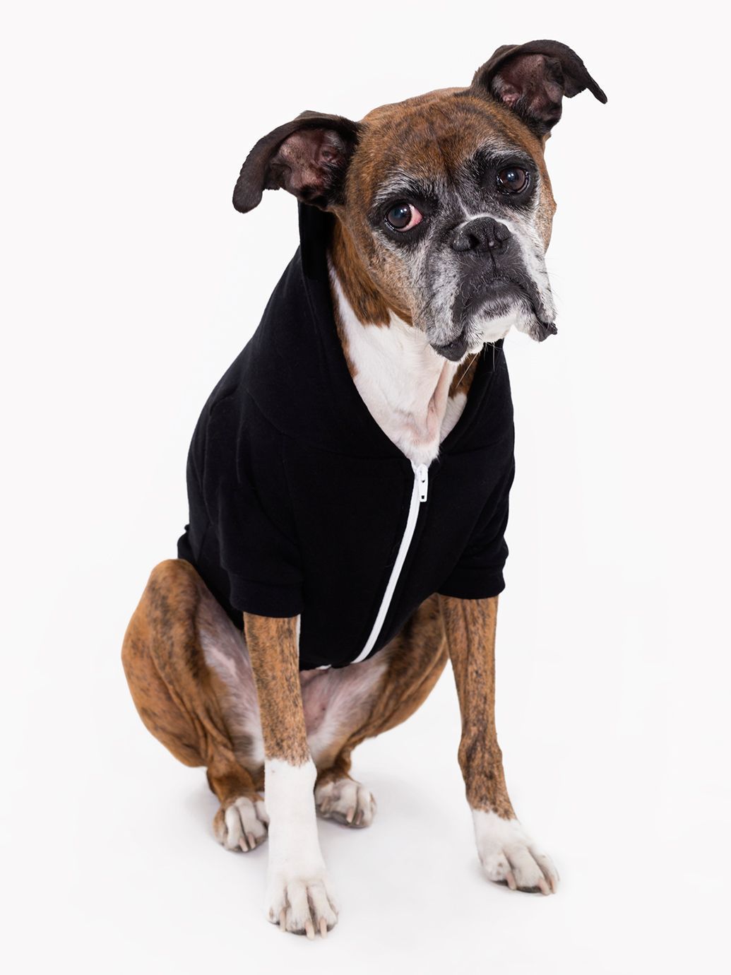 Flex Fleece Dog Zip Hoodie American Apparel