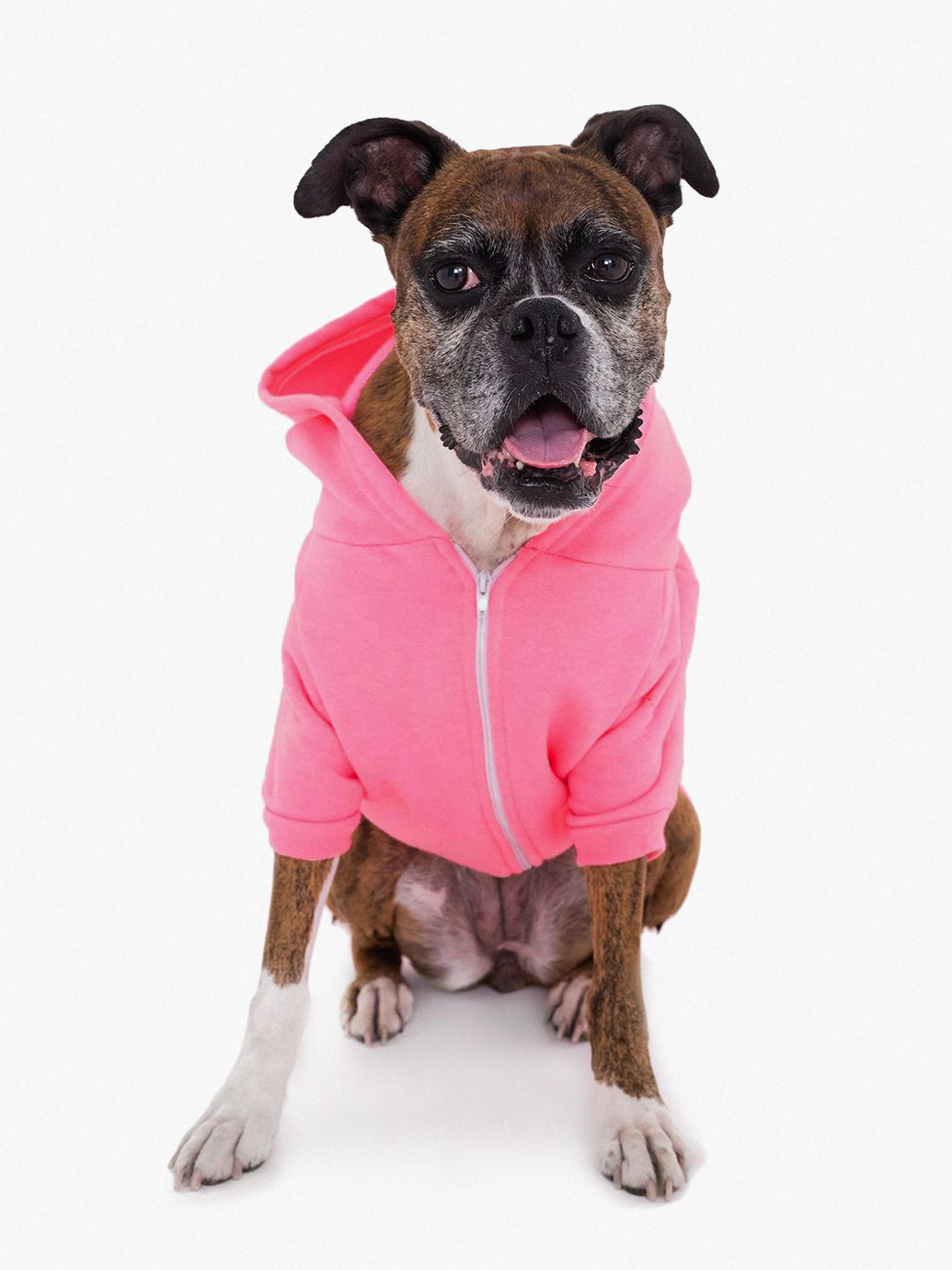 Flex Fleece Large Dog Zip Hoodie American Apparel