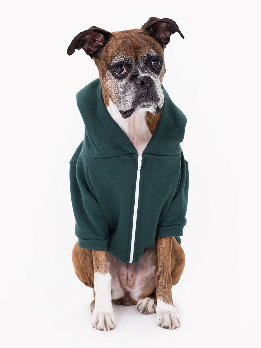 Flex Fleece Large Dog Zip Hoodie American Apparel