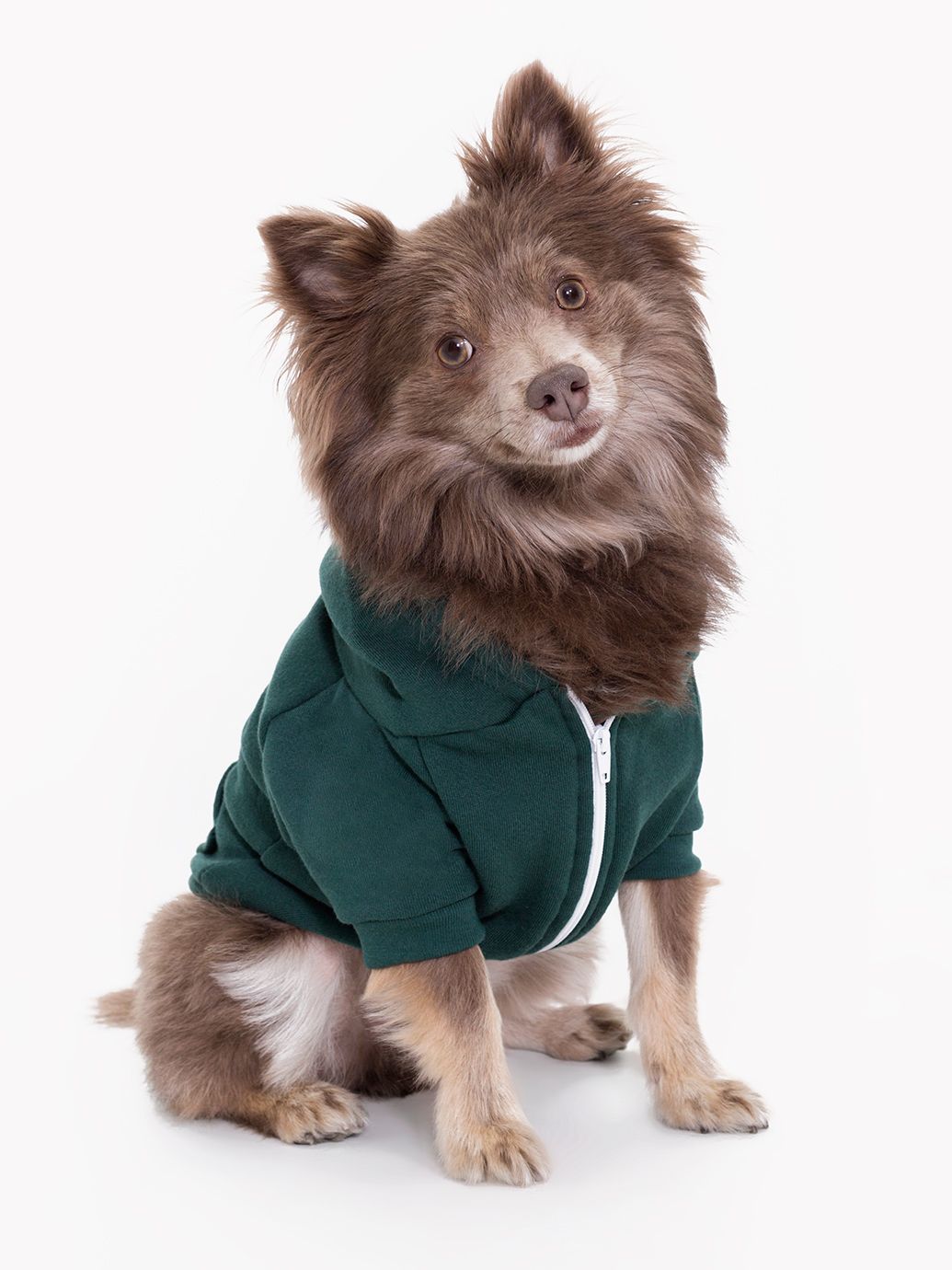 Flex Fleece Small Dog Zip Hoodie | American Apparel