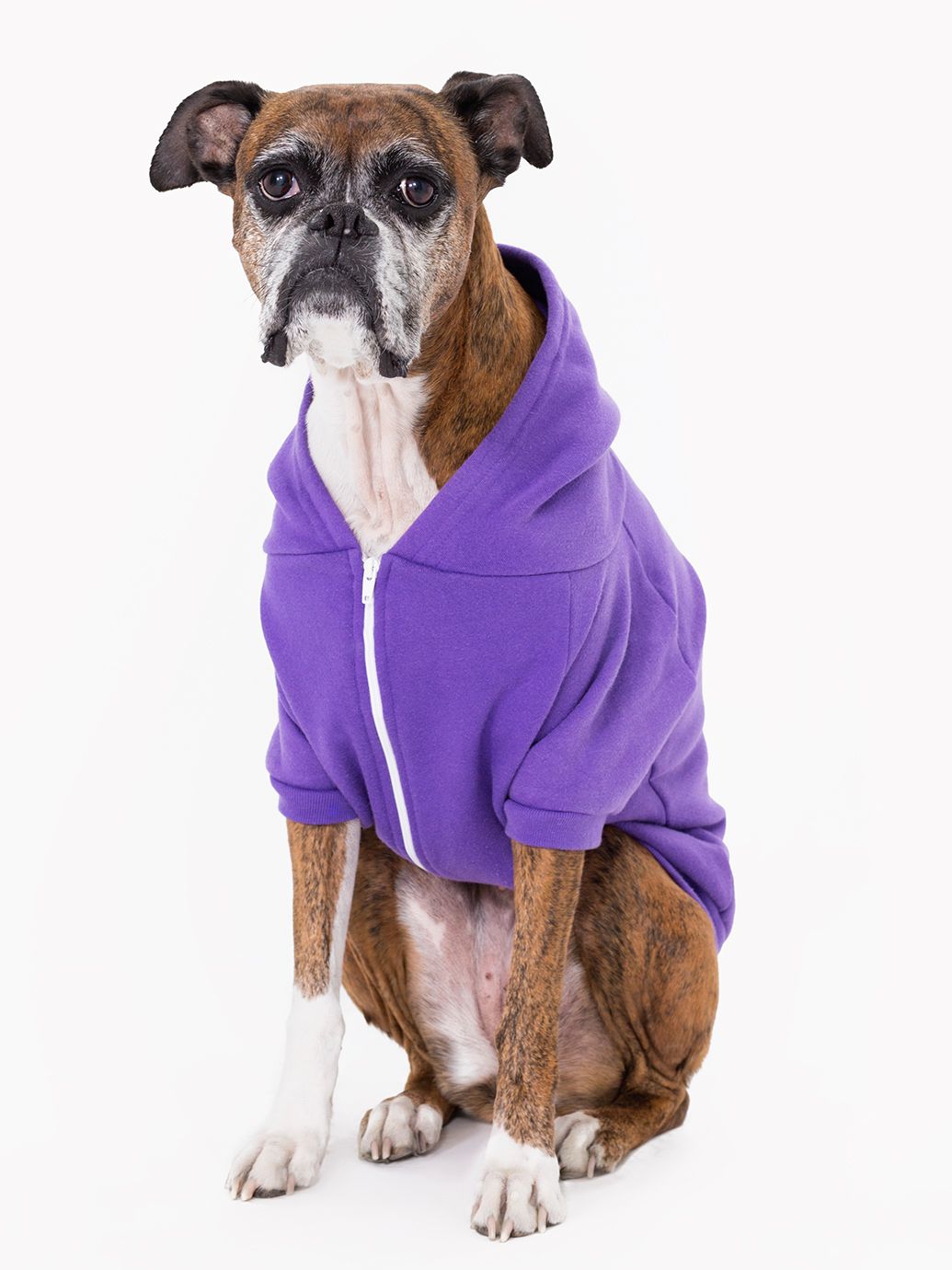 http://s7d9.scene7.com/is/image/AmericanApparel/f997xl_purple?defaultImage=/notavail&$ProductGrid2.5_4$