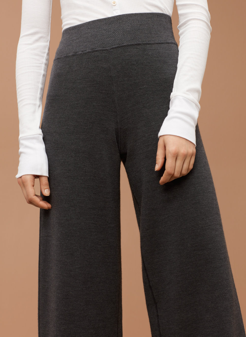 aritzia community cargo pants