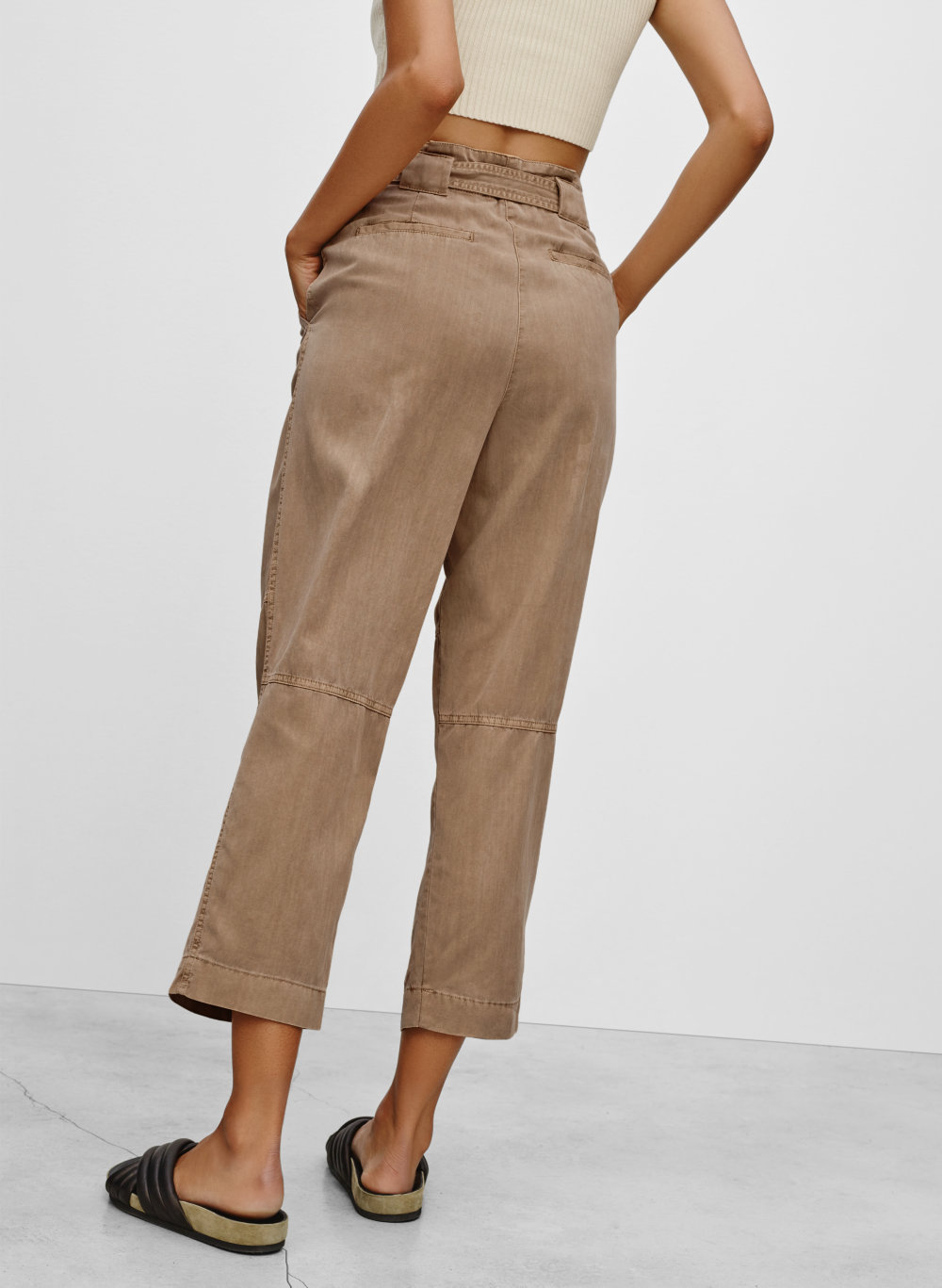 aritzia publish pant