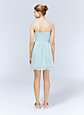 DEBUTANTE DRESS