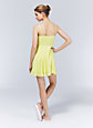 LIPINSKI DRESS