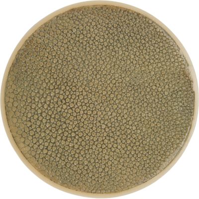 R & Y Augousti Shagreen Coaster