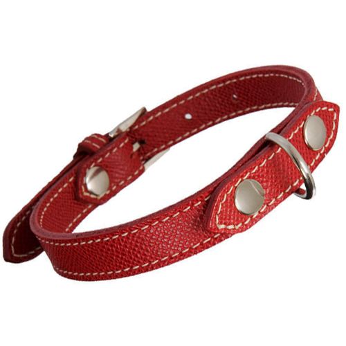 Barneys New York Small Palmellato Dog Collar