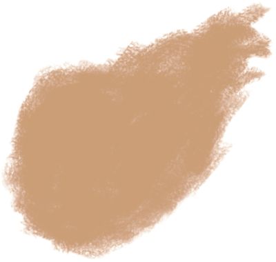 Bobbi Brown Skin Foundation SPF 15 - Natural
