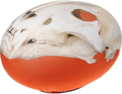 Barneys New York Tiger Skull Footstool