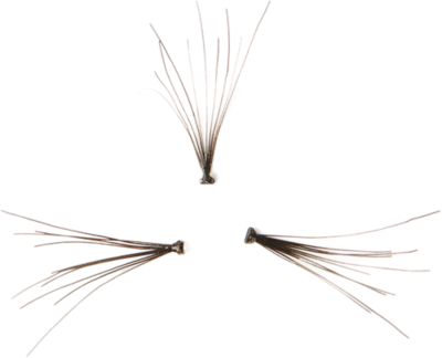 Beauty Is Life Short Single Lashes