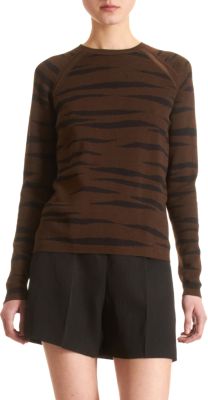 Proenza Schouler Tiger Stripe Crewneck Sweater