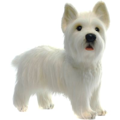 Hansa West Highland Terrier