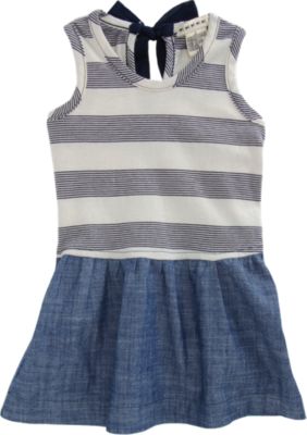 Anthem of the Ants Chambray Skirt Dress