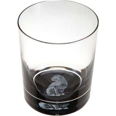 Lobmeyr "Pride" Sagmeister Tumbler