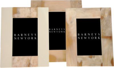 Arca Ivory & Horn Frames