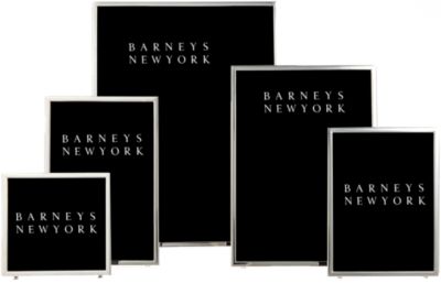 Emilio Roselli Silver Frames
