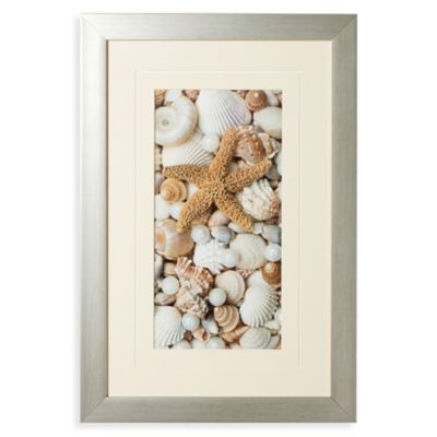 Buy Shell Menagerie I Wall Art from Bed Bath & Beyond