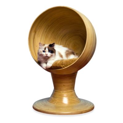 the refined feline kitty ball cat bed