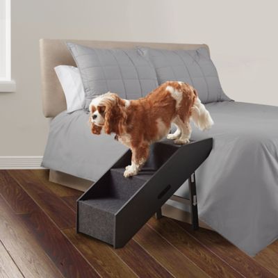 Pawslife ramp best sale