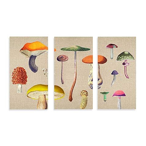 Canvas Mushroom Wall Art Set
