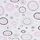 PINK CIRCLE
