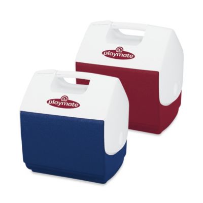 playmate by igloo cooler