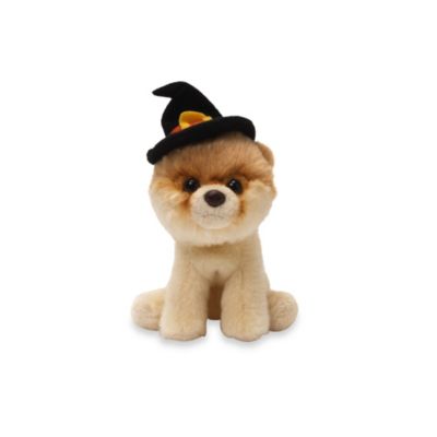 gund boo world's cutest plush dog