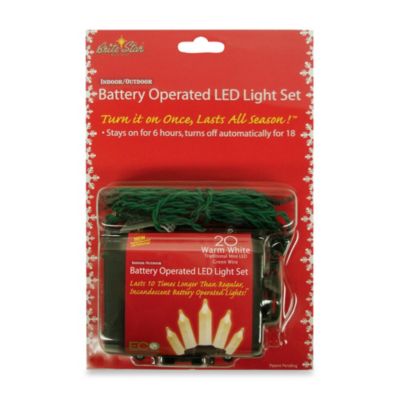 Buy 36-Inch Battery Operated String Lights with 18 LED Lights and Timer from Bed Bath & Beyond