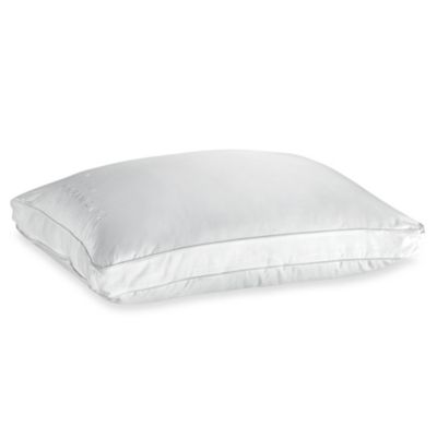 wamsutta dream zone pillow