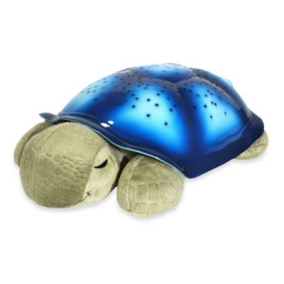 twilight turtle