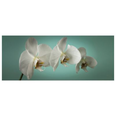 "Teal Orchid" Canvas Art