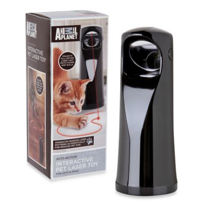 animal planet pet laser toy
