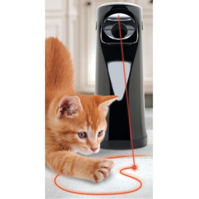 animal planet pet laser toy