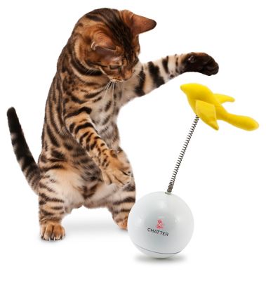 frolicat rolorat automatic cat teaser