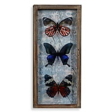 Vintage Butterfly Shadowbox Wall Décor Collection - BedBathandBeyond.com