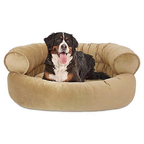 comfy couch large pet bed the orthopedic microvelvet comfy couch ...