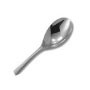 Serving Spoon