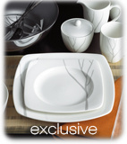 Exclusive white dish