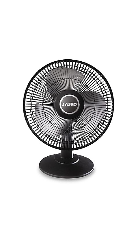 image of a Fan