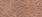 Carhartt Brown