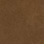 Carhartt Brown