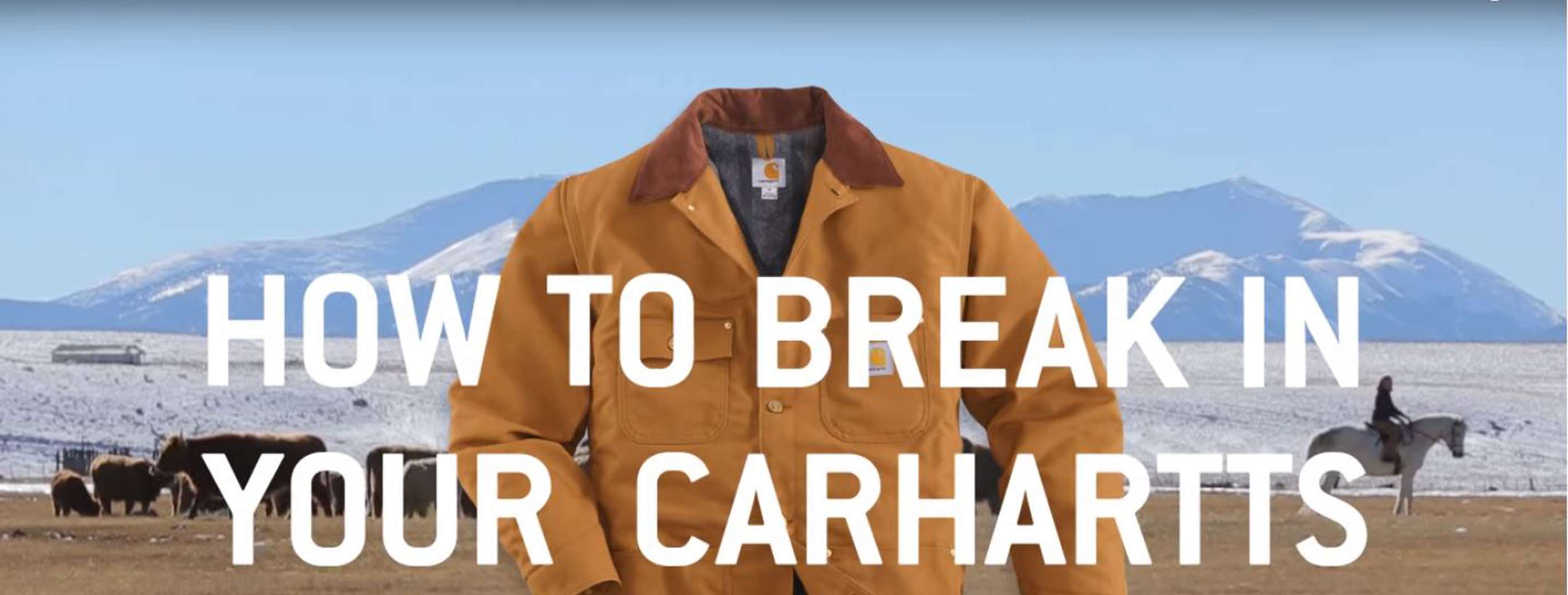 Carhartt Product