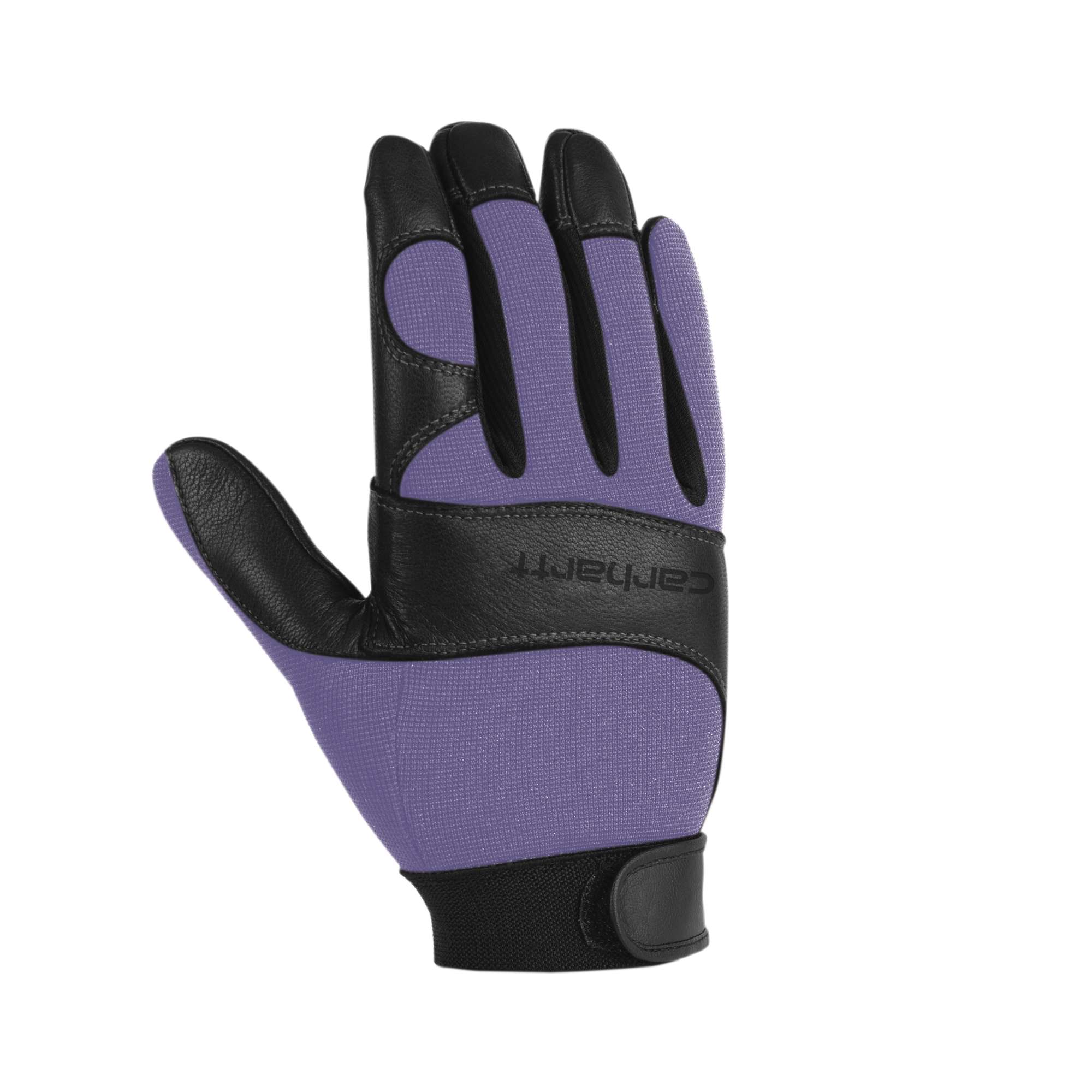 Women's Dex Glove