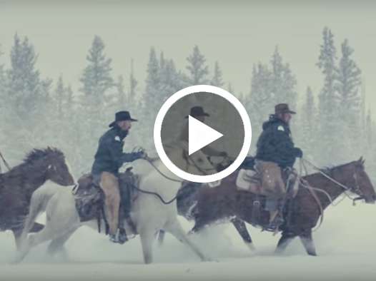 Carhartt Rain Defender