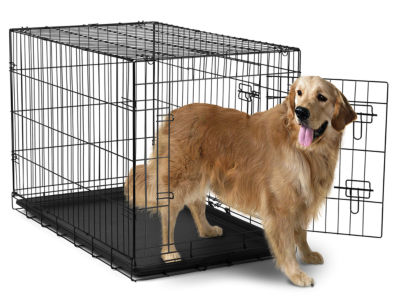 paws and pals dog crate