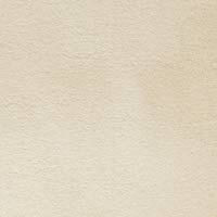 Royal Velvet® Silk Touch Blanket-Ivory