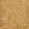 Royal Velvet® Silk Touch Blanket-Pure Gold