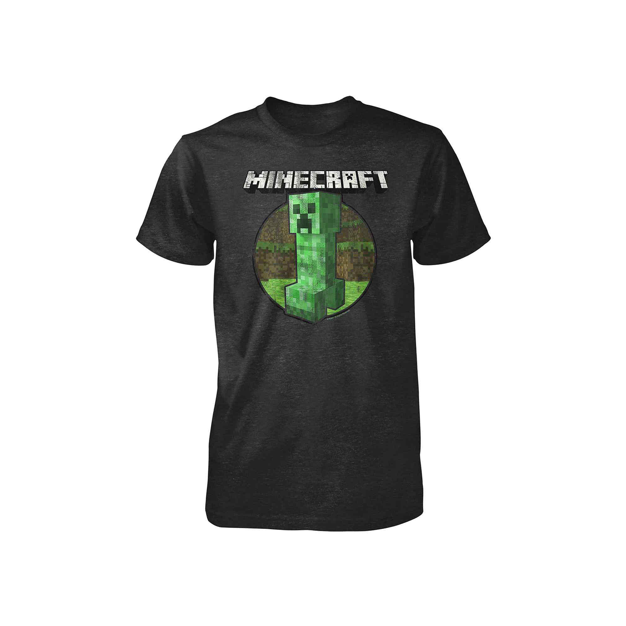 UPC 840285129245 product image for Minecraft Gaming Graphic Tee - Boys 6-16 | upcitemdb.com